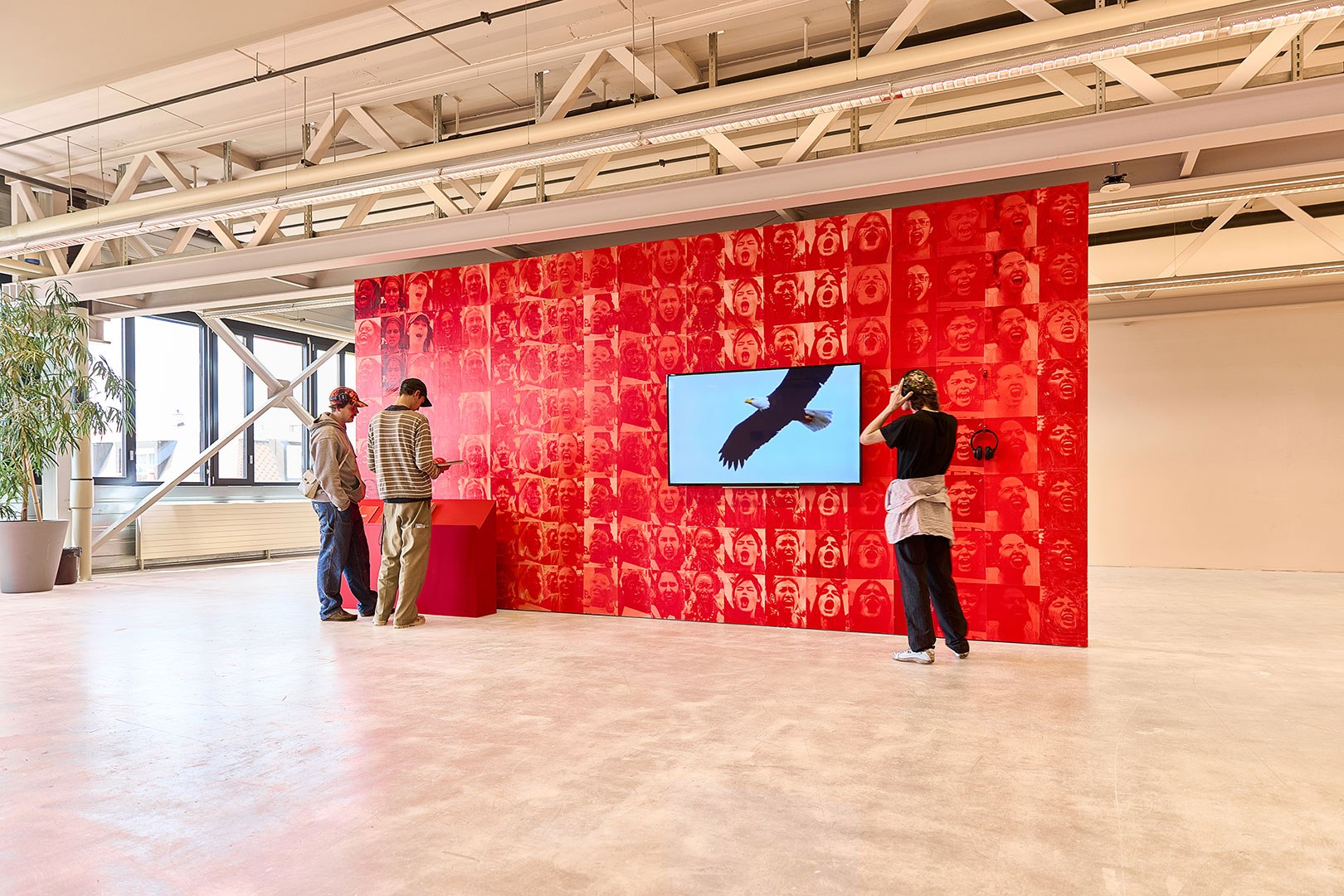 2324 S2 3 BAPH The A Word Sallin Mason Phinn Repros Installation2