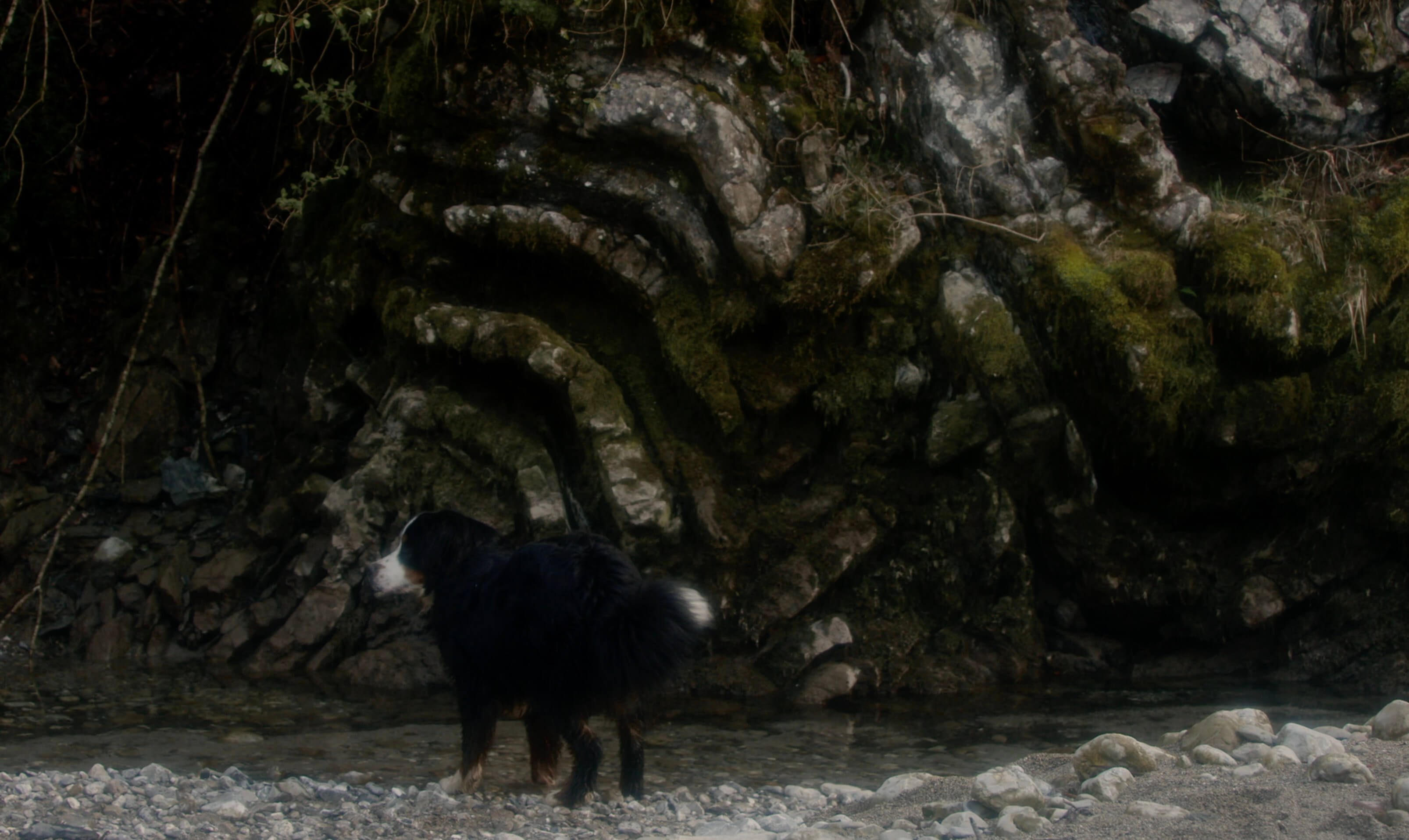 Stills la brume17cropped